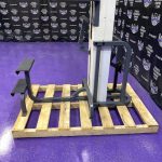 Cybex Standing Assisted Dip & Pull-up Machine