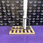 Cybex Standing Assisted Dip & Pull-up Machine