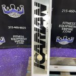 Precor Dip & Leg Raise – Chest Abs Triceps & Obliques