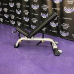 Precor Adjustable 0-90 Bench