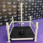 Westside Plate Loaded Belt Squat Dynamic Westside Plate Loaded Belt Squat Dynamic