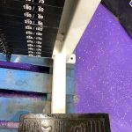 FLEX FITNESS Original OEM Dorsiflexor Row w/330 lb. Stack