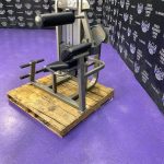 Life Fitness Pro 2 Back Extension