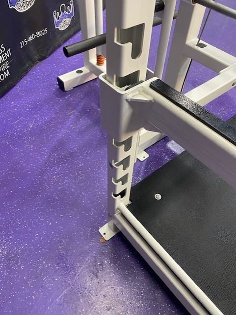 web41-11.jpg Westside Plate Loaded Belt Squat Dynamic