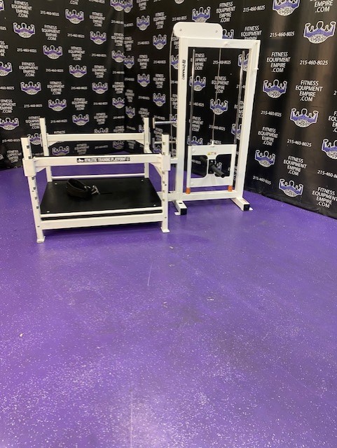 web43-12.jpg Westside Plate Loaded Belt Squat Dynamic