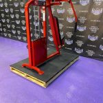 Strive Prime Pec Fly & Rear Delt Combo Machine Strive Prime Pec Fly & Rear Delt Combo Machine