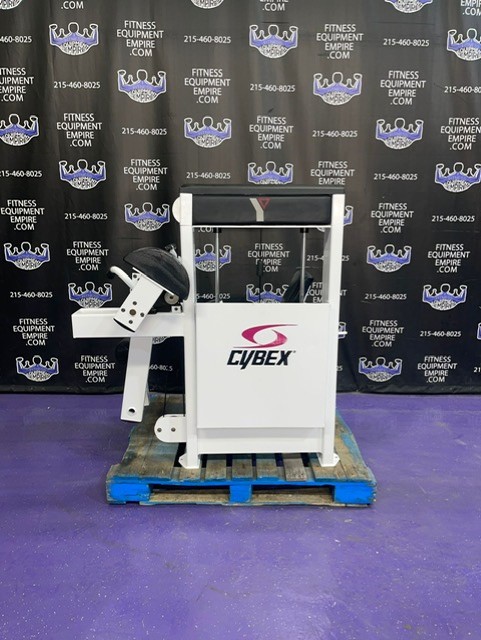 web51 Cybex Galileo Seated Leg Curl w/400 lb. Stack – Hardcore