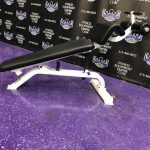 Precor Adjustable Decline Abdominal Bench