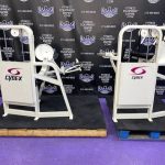 Cybex VR2 Bicep & Tricep Matching Pair Cybex VR2 Bicep & Tricep Matching Pair