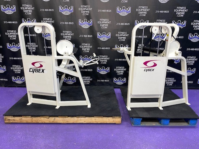 web58 Cybex VR2 Bicep & Tricep Matching Pair