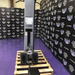 Cybex Low Row and Standing Assisted Dip and Pull-Up Cybex Low Row and Standing Assisted Dip and Pull-Up