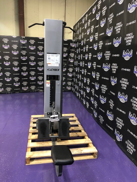 web6-20 Cybex Low Row and Standing Assisted Dip and Pull-Up