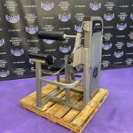 Life Fitness Pro 2 Back Extension