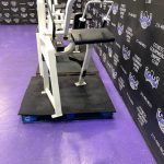 Cybex VR2 Bicep & Tricep Matching Pair Cybex VR2 Bicep & Tricep Matching Pair