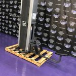 Cybex Low Row and Standing Assisted Dip and Pull-Up Cybex Low Row and Standing Assisted Dip and Pull-Up