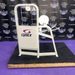 Cybex VR2 Bicep Curl w/Swivel Handles Cybex VR2 Bicep Curl w/Swivel Handles