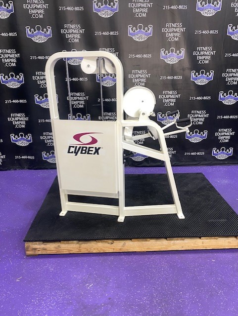 web70 Cybex VR2 Bicep Curl w/Swivel Handles