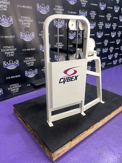 web71 Cybex VR2 Bicep Curl w/Swivel Handles