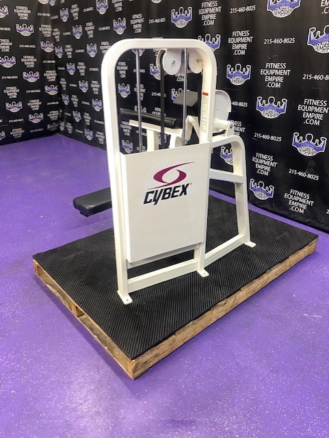 web73 Cybex VR2 Bicep Curl w/Swivel Handles