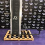 Cybex Low Row and Standing Assisted Dip and Pull-Up Cybex Low Row and Standing Assisted Dip and Pull-Up