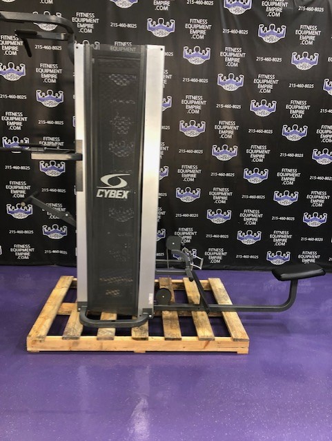 web8-21 Cybex Low Row and Standing Assisted Dip and Pull-Up