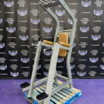 Nautilus VKR Dip & Pull-up Tower