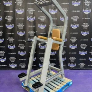 Nautilus VKR Dip & Pull-up Tower