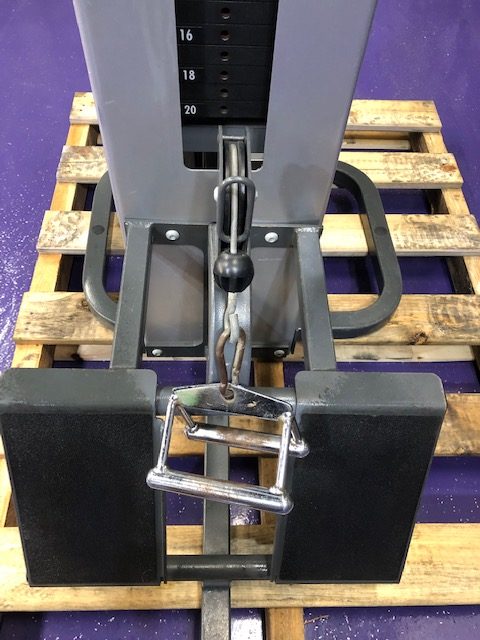 web9-22 Cybex Low Row and Standing Assisted Dip and Pull-Up