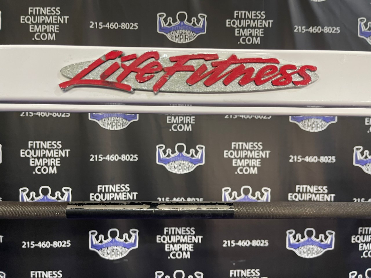 web9-3-5.jpg Life Fitness Dual Pulley 8 Stack Jungle Gym w/300 lb. Stacks