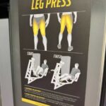 FreeMotion Epic Seated Adj Leg Press - Squat Press w/500 lb.